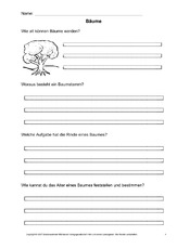 Arbeitsblatt-Bäume-4.pdf